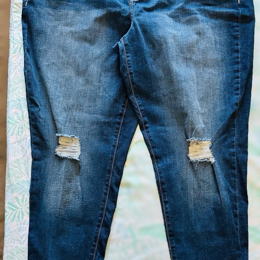 Lane Bryant Blue Skinny Jeans Distressed